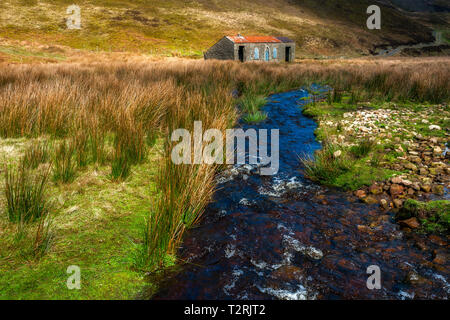 Suche entlang der Langden Bach zu Langden Schloss im Wald von Bowland in Lancashire Stockfoto