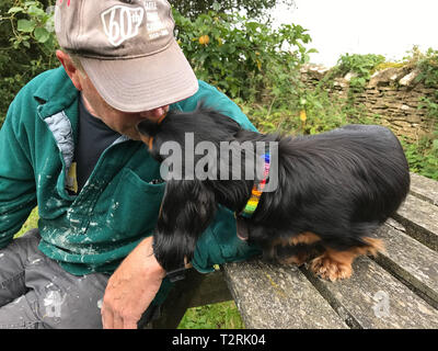 Der Mensch wird von einem kleinen kleinen Dachshund leckt Stockfoto