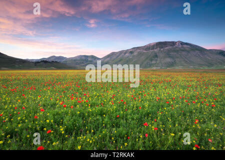 Castelluccio Di Norcia bei Sonnenuntergang, Sibillini Nationalpark in Umbrien, Italien, Europa Stockfoto