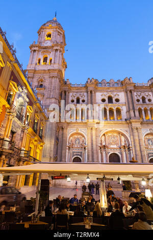Die Kathedrale von Málaga und der Bischofspalast leuchten nachts, von der Plaza del Obispo, der Altstadt von Málaga, der Costa del Sol, Andalusien, Spanien