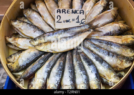Sardinen Fisch für den Verkauf in den Lebensmittelmarkt, Mercado Central de Atarazanas Malaga, (Markthalle), Malaga, Andalusien, Spanien Stockfoto