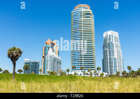 Miami Beach Florida, South Pointe Park, Point, Walkway, Rasen, Dünen, Gräser, Palmen, Landschaftsbau, Gebäude, Eigentumswohnung Wohnapartments BU Stockfoto