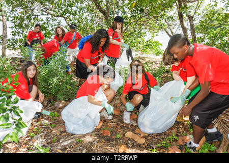 Miami Florida, aufräumen der Gemeinschaft, Freiwillige Freiwillige Freiwillige ehrenamtlich arbeiten Arbeiter, arbeiten zusammen helfen, Studenten Hispani helfen Stockfoto