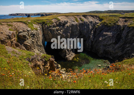 Der Dungeon Meereshöhlen, Dungeon Provincial Park, Bonavista Peninsula, Neufundland, Kanada Stockfoto