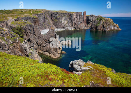 Die zerklüftete Küste entlang des Kabels John Cove (Wild Cove), Bonavista Peninsula, Neufundland, Kanada Stockfoto