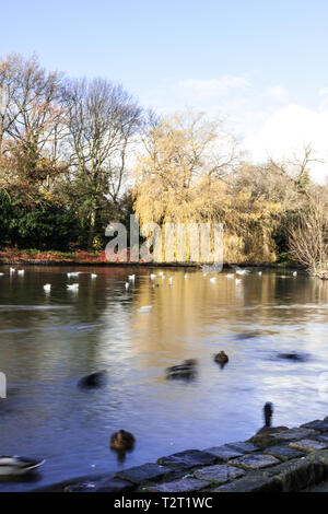 Ropner Park, Stockton-On-Tees, Co Durham, England, UK. Stockfoto