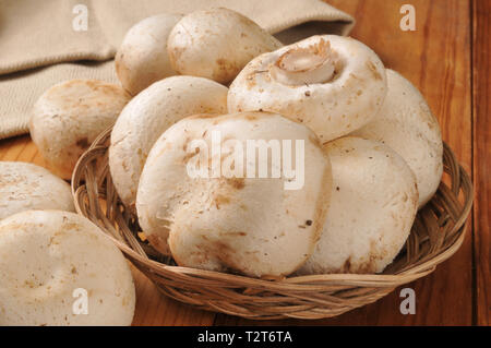 Frische Champignons in einem weidenkörbe Stockfoto