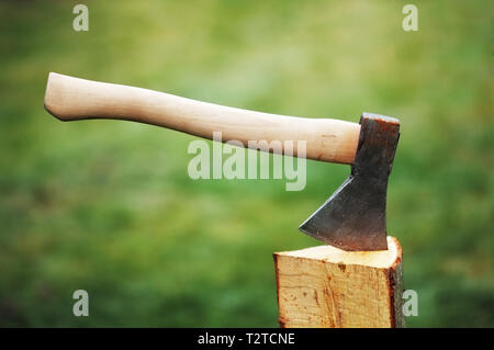 Ax in einem Protokoll auf dem Hintergrund des grünen Grases Stockfoto