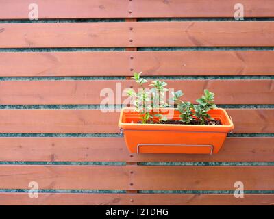 Pflanzmaschine, hängen an der Wand. Stockfoto