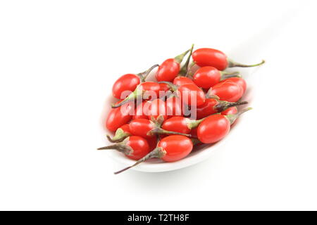 Zusammensetzung der frische Goji Beeren in einem weißen Porzellan Löffel auf weißem Hintergrund Stockfoto