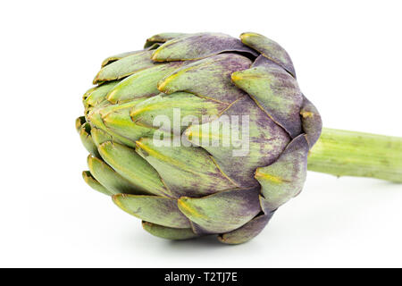 Zusammensetzung der frischen Artischocke auf weiß Kopie Raum isoliert Stockfoto