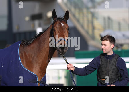 Aintree, Liverpool. 4. April 2019. UK Wetter. Aintree öffnung Tag. Irische Pferd "Straße zu den riches' Aufwärmen für die Hürde späteren Rennen am Nachmittag. Kredit. MWI/AlamyLiveNews Stockfoto