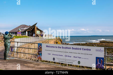 North Berwick, East Lothian, Schottland, Vereinigtes Königreich, 4. April 2019. Scottish Seabird Centre öffnet wieder nach 3-monatiger Renovierung und Sanierung. Eine lebensgroße Statue namens Watcher von Kenny Hunter zeigt ein Blick durch ein Fernglas für Vogelbeobachter außerhalb des visitor center Stockfoto