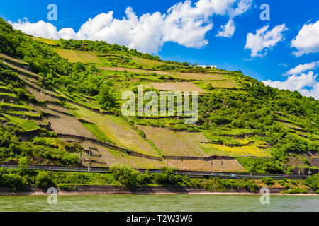 Malerische Landschaft Blick auf die geneigten Weinberge zwischen Felsen und Bäume entlang des Rheins an der kilometer Marker 552, Teil des UNESCO-Welt... Stockfoto