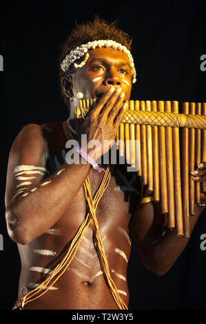 Narasirato durchführen an den WOMAD-Festival, Charlton Park, Großbritannien. Salomonen bamboo Orchestra' Stockfoto