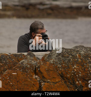 Ein Mann mittleren Alters, Gesicht durch eine digitale SLR-Kamera versteckt, nimmt Fotos hinter Felsen an einem Strand. Stockfoto