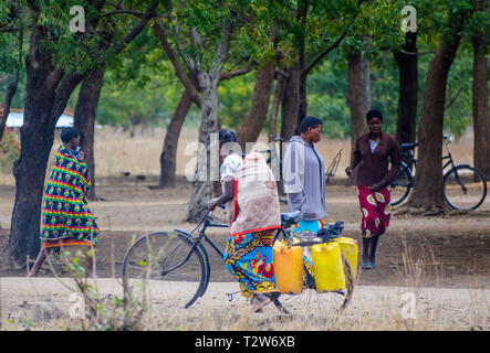 Malawische Frau drücken Fahrrad mit leeren Wasserbehälter entlang einem Feldweg geladen.jpg Stockfoto