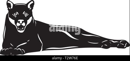 Puma Abbildung Stock Vektor