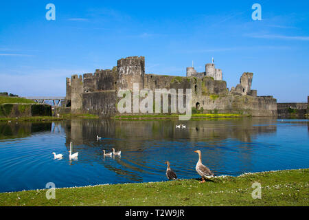 Caerphilly Castle, in der Nähe von Cardiff, South Wales, UK in der Frühlingssonne Stockfoto