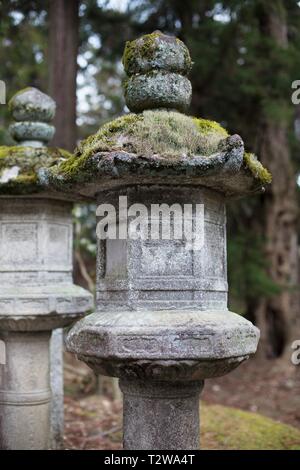 Moos bedeckt Steinlaternen in Nara, Japan. Stockfoto