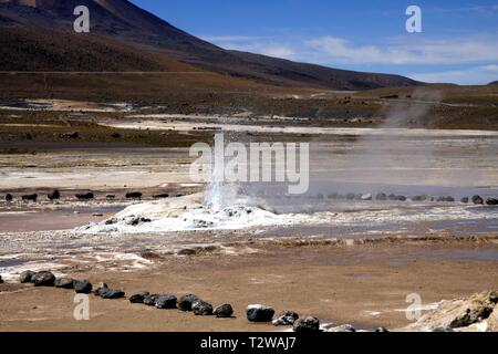 El Tatio Geysire in der Atacama-wüste, Chile: Breite geothermische Dampf Feld Stockfoto