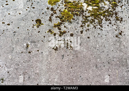 Rostige Flecken auf alten Beton wand Textur, abstrakte abblätternde Farbe auf Zement Oberflächenstruktur, schmutzige Wand Hintergrund Stockfoto