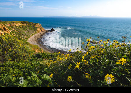 Schöne Aussicht von gelben Blumen, die steilen Pelican Cove Klippen während der Kalifornien Super Bloom von 2019 mit herrlichem cloudscape an einem sonnigen Tag Stockfoto
