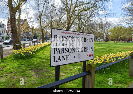 Parsons Grün und Parsons Green Lane in South West London UK mit Narzissen blühen Stockfoto