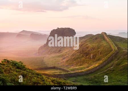 Der Hadrianswall in der Dämmerung mit Nebel am frühen Morgen in der Nähe von Housesteads Crag Stockfoto