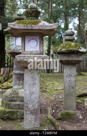 Steinlaternen in der Nähe von Kasuga Taisha in Nara, Japan. Stockfoto