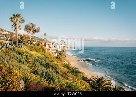 Blumen und den Pazifischen Ozean, im Treasure Island Park in Laguna Beach, Orange County, Kalifornien Stockfoto