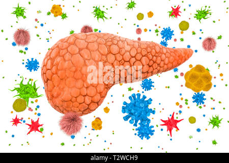 Bauchspeicheldrüse mit Viren und Bakterien. Bauchspeicheldrüsen Erkrankung Konzept, 3D-Rendering auf weißem Hintergrund Stockfoto
