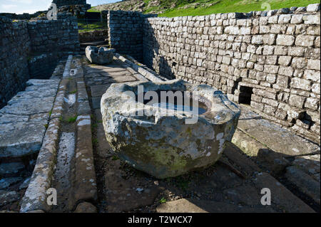 Latrine bei Housesteads Roman Fort am Hadrians Wall in Northumberland Stockfoto