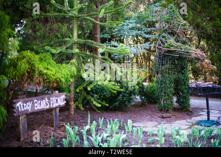 Affen-Puzzle-Bäume und Teddybären Picknick-Topiary im Bear Creek Park in Surrey, British Columbia, Kanada Stockfoto