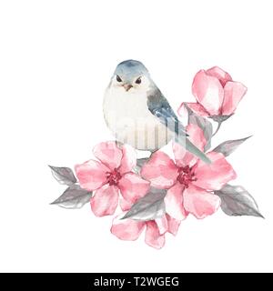 Süße Vogel und rosa Blüten. Aquarell Malerei Stockfoto