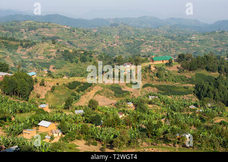 Bananen und Kaffee Plantagen in Hill Land nördlich des Lake Bunyonyi im Südwesten von Uganda, Ostafrika Stockfoto