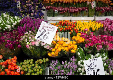 Columbia Road Blumenmarkt am Sonntagmorgen im März, Bethnal Green, Tower Hamlets, London, London, England, Vereinigtes Königreich, Europa