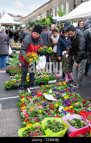 Columbia Road Blumenmarkt am Sonntagmorgen im März, Bethnal Green, Tower Hamlets, London, London, England, Vereinigtes Königreich, Europa Stockfoto