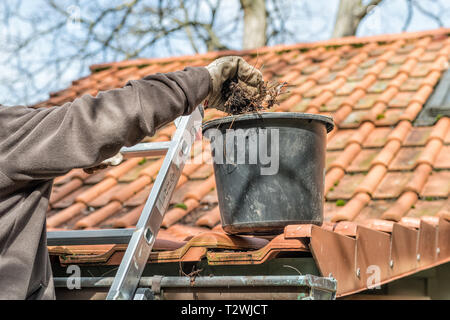 Mann auf einer Leiter Reinigung Haus Dachrinnen Stockfoto