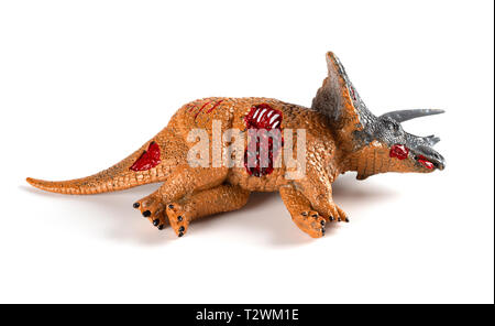 Triceratops toten Körper auf weißem Hintergrund Stockfoto