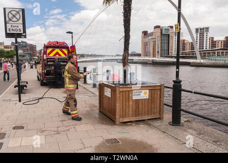 Kai, Newcastle Upon Tyne, UK. 18. Juli 2016. Feuerwehrleute bekämpfen die brennende Palme am Meer am Kai. David Dixon / Alamy Live News Stockfoto