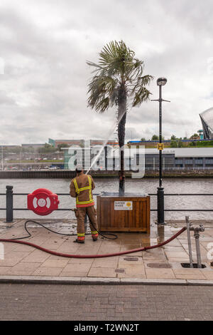 Kai, Newcastle Upon Tyne, UK. 18. Juli 2016. Feuerwehrleute bekämpfen die brennende Palme am Meer am Kai. David Dixon / Alamy Live News Stockfoto