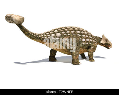 Ankylosaurus Dinosaurier auf weißem Hintergrund mit überschnittenen Schatten isoliert. Stockfoto