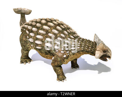 Ankylosaurus Dinosaurier auf weißem Hintergrund mit überschnittenen Schatten isoliert. Stockfoto