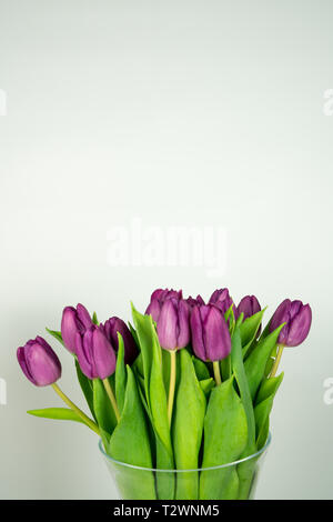 Schöne frische Tulpen in der Vase auf einem weißen Hintergrund. Platz oben für Text Stockfoto