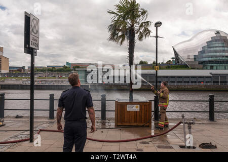 Ein Feuerwehrmann Bewältigung einer brennenden Palme an der Uferstraße, Newcastle Upon Tyne, England, UK Stockfoto