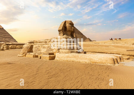 Die Große Sphinx in der Nähe der Pyramiden von Gizeh, Ägypten. Stockfoto