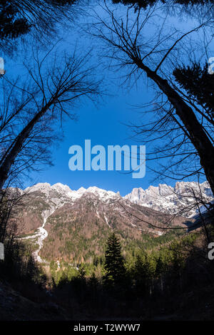 Blick vom Pass Vrsic obwohl Bäume zu bergen Skrlatica und gestochen in den Julischen Alpen in Slowenien Stockfoto