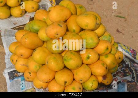 Frische, Reife Mangos zum Verkauf auf dem Markt - Hyderabad, Indien Stockfoto