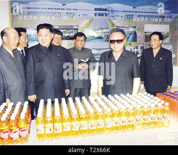 Pyongyang, North-Korea - November 13, 2011: Scan eines offiziellen Fotografie der nordkoreanische Führer Kim Jong-un Stockfoto